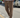 Pantalone Dik Camel Njb