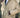 GIUBBINO OVERSIZE VELLUTINO BEIGE NEW JOB BRAND