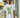 T shirt Gin Tonic Berna