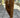 Pantalone Dik  Camel njb